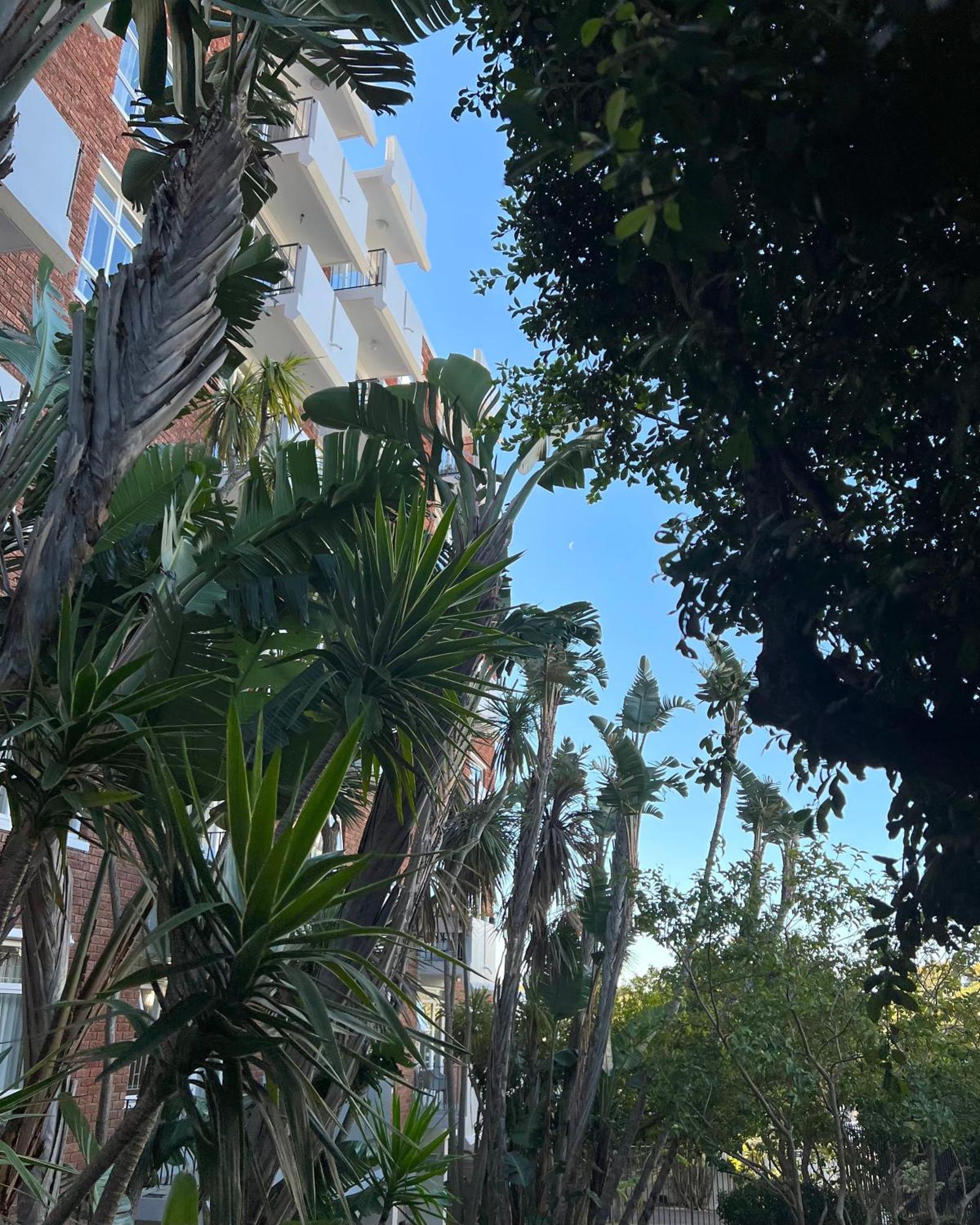 Studio 44 开普敦 外观 照片